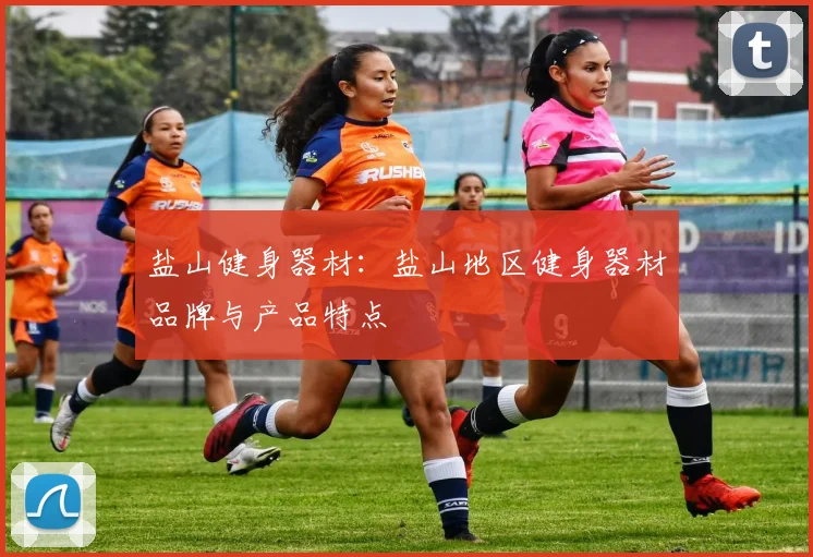 盐山健身器材：盐山地区健身器材品牌与产品特点