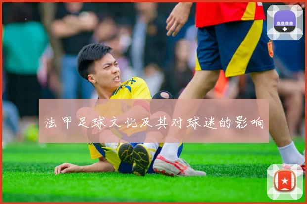 法甲足球文化及其对球迷的影响