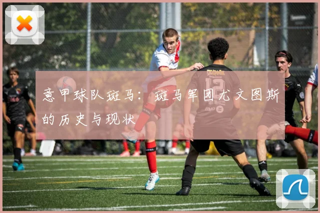 意甲球队斑马：斑马军团尤文图斯的历史与现状